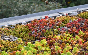 the cost of Well green roof installation